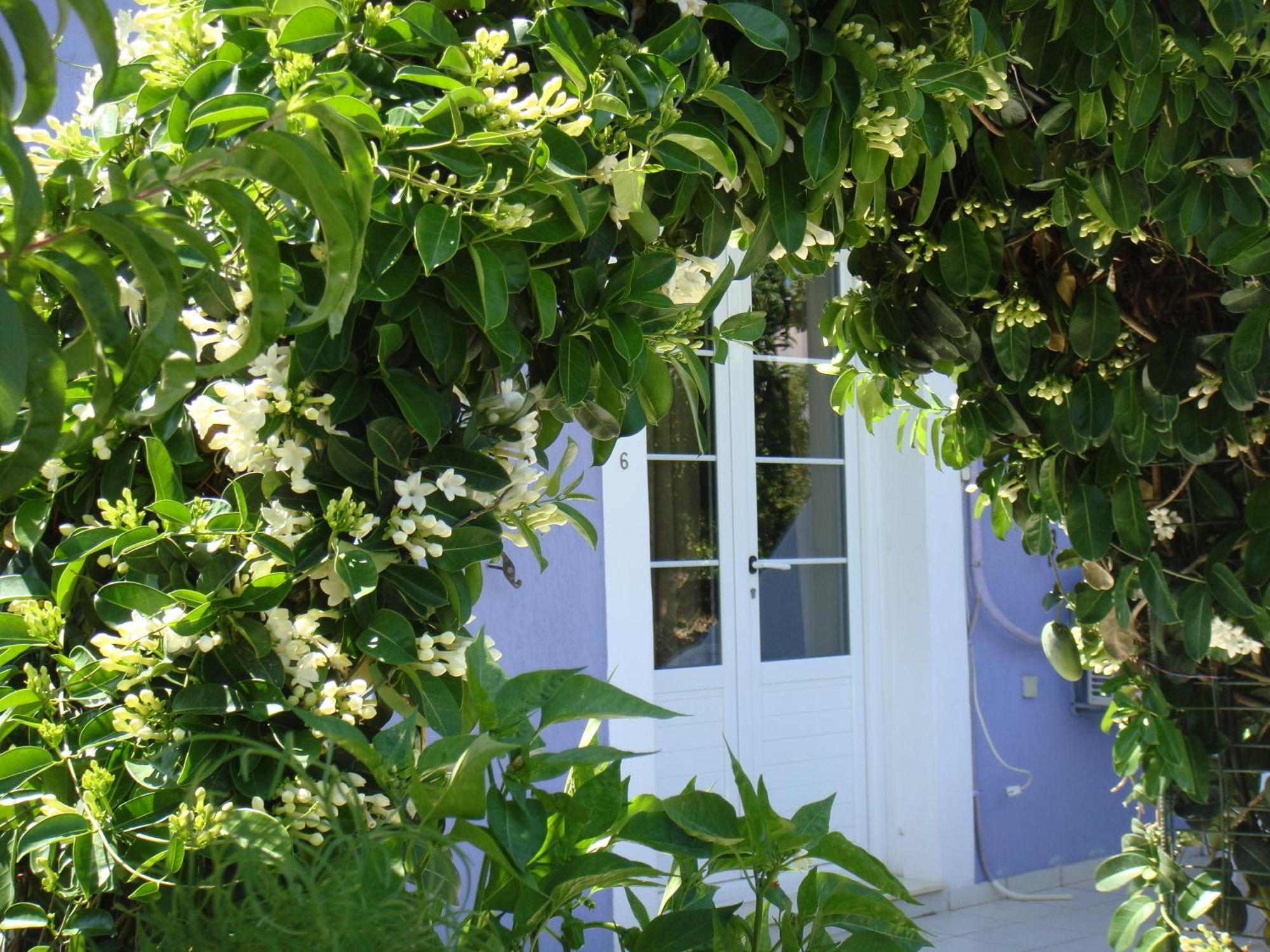 Villa Eliza Skala  Екстериор снимка