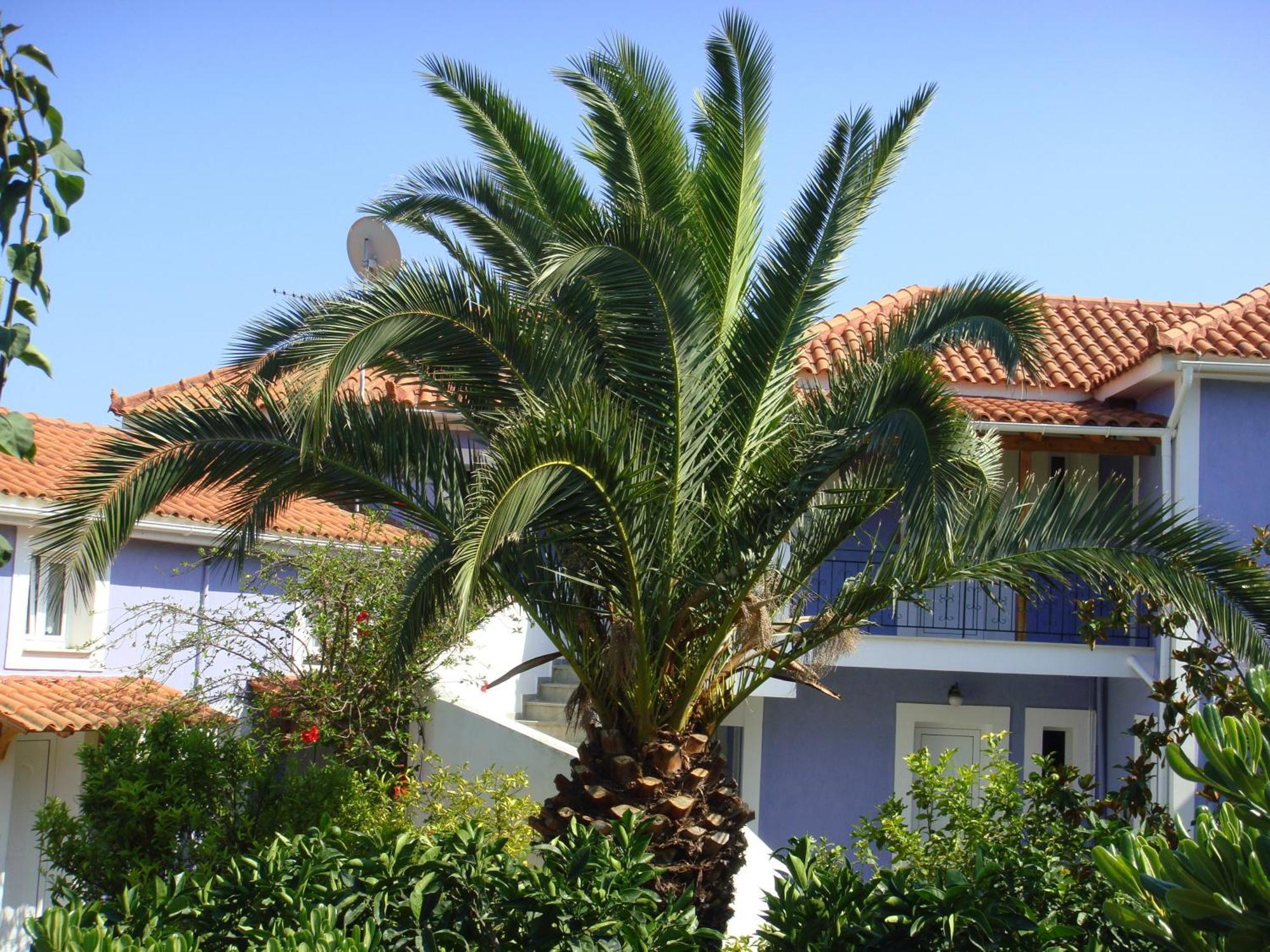 Villa Eliza Skala  Екстериор снимка